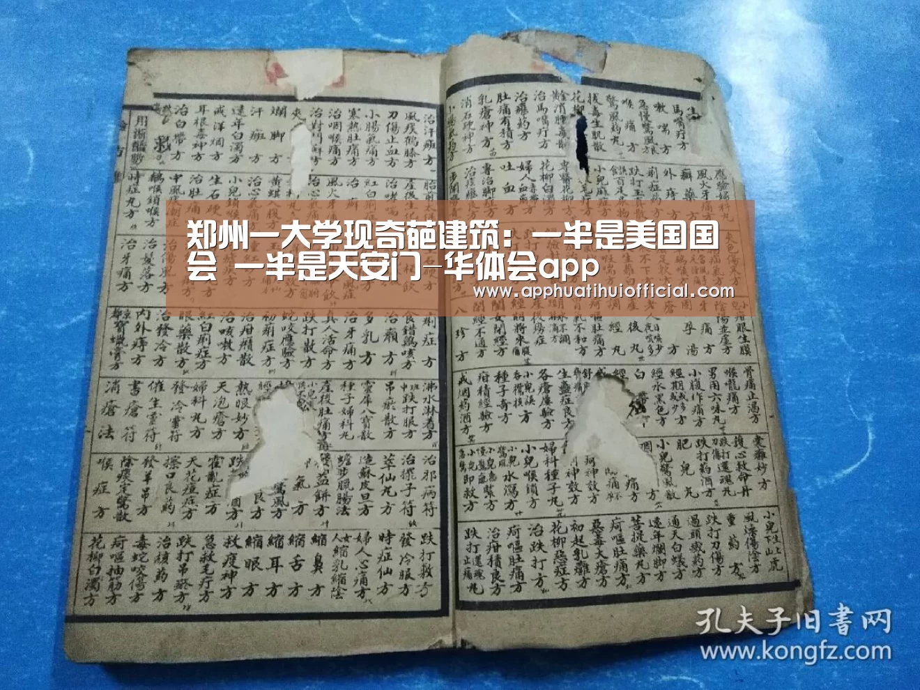 华体会官网网页版